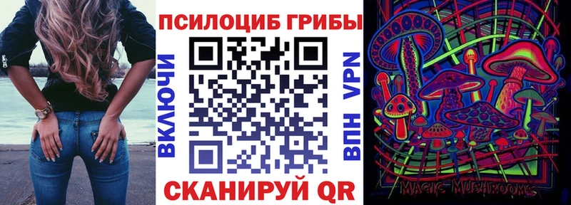 магазин продажи наркотиков  Приволжск  Галлюциногенные грибы Psilocybe 